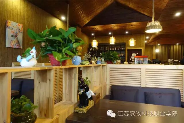 山居异宠主题咖啡内部空间